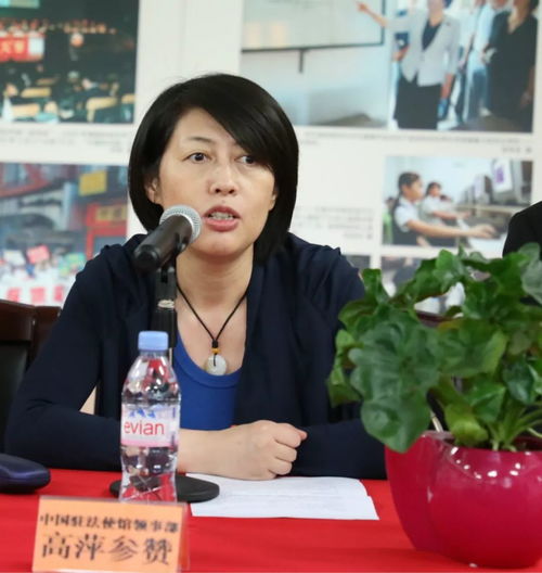 四海同心映赤忱 光影流芳谱华章——'四海同心 盛世梦圆'图片展巴黎侧记